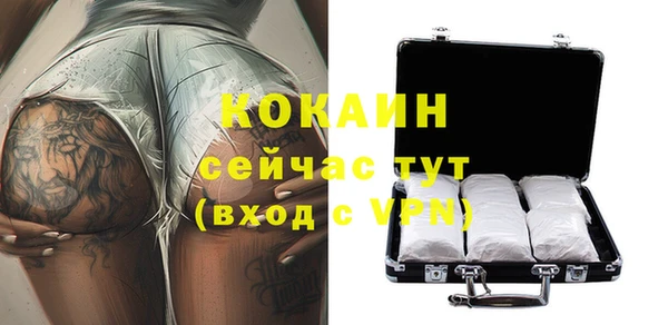 эйфоретик Арсеньев