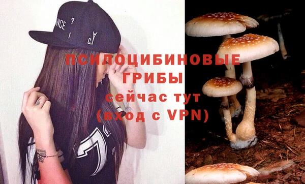 мдпв Нефтегорск