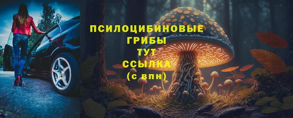 эйфоретик Арсеньев